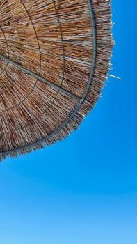 Canicule : que faire en cas de fortes chaleurs en France ? Conseils essentiels pour tous