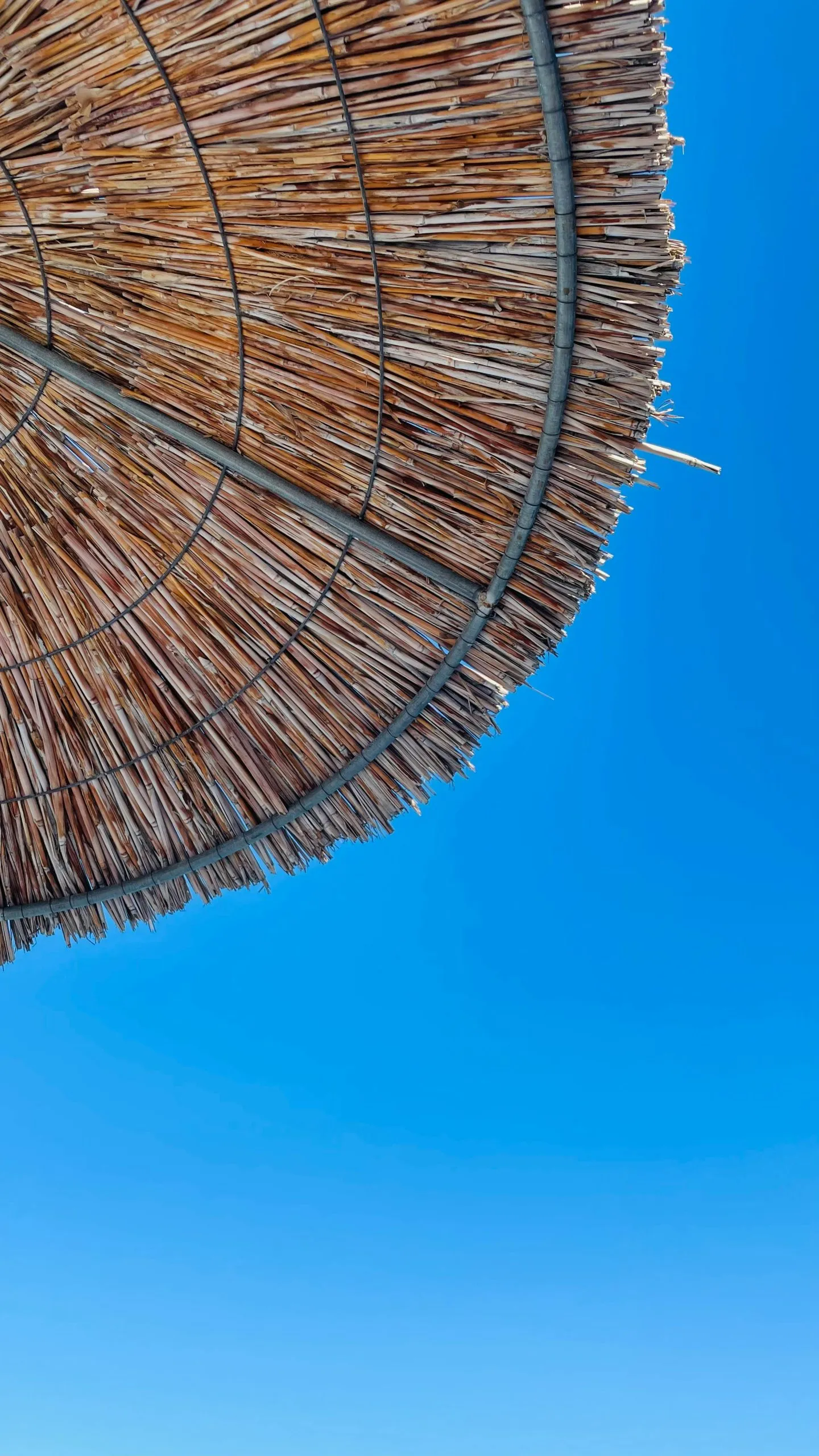 que faire en cas de canicule ?